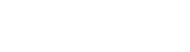 University of Southampton logo