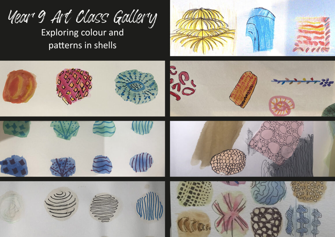 Year 9 Art Class Exploring Shells