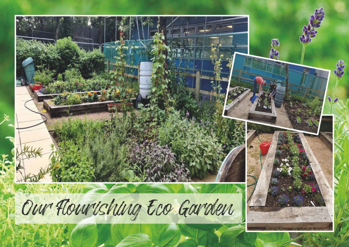 Our Flourishing Eco Garden