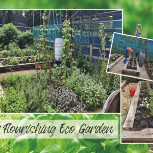 Our Flourishing Eco Garden