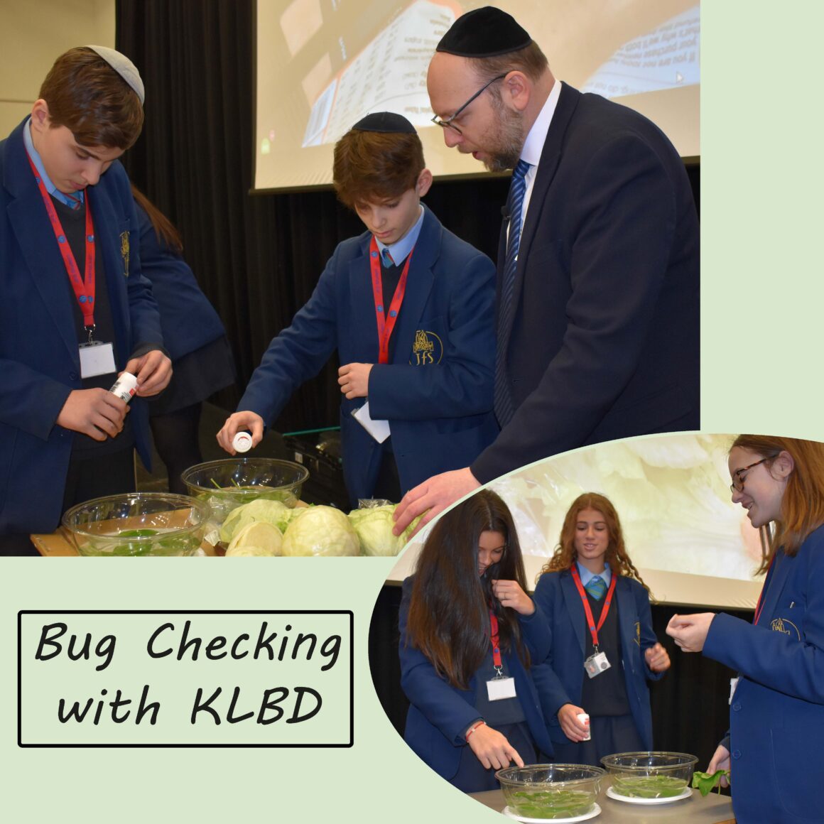 Bug Checking with KLBD